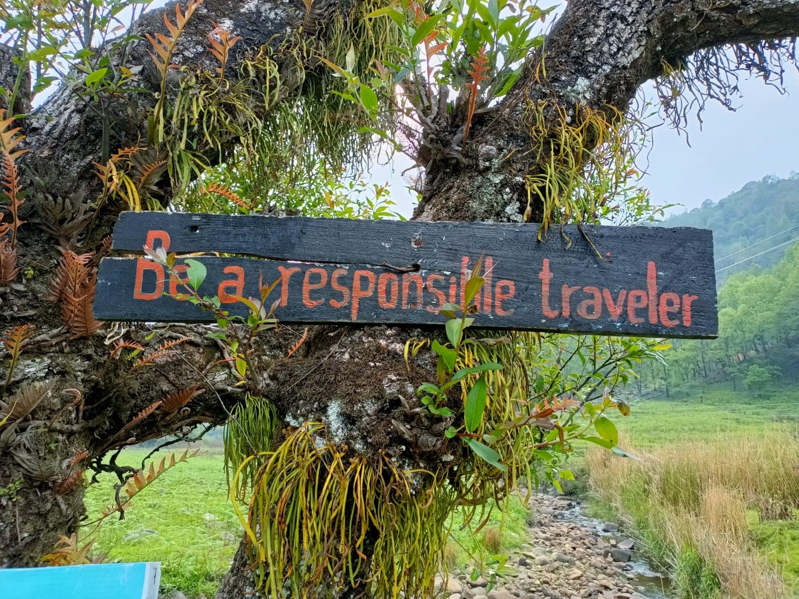 A wooden sign reading Be a responsible traveller beside a trail