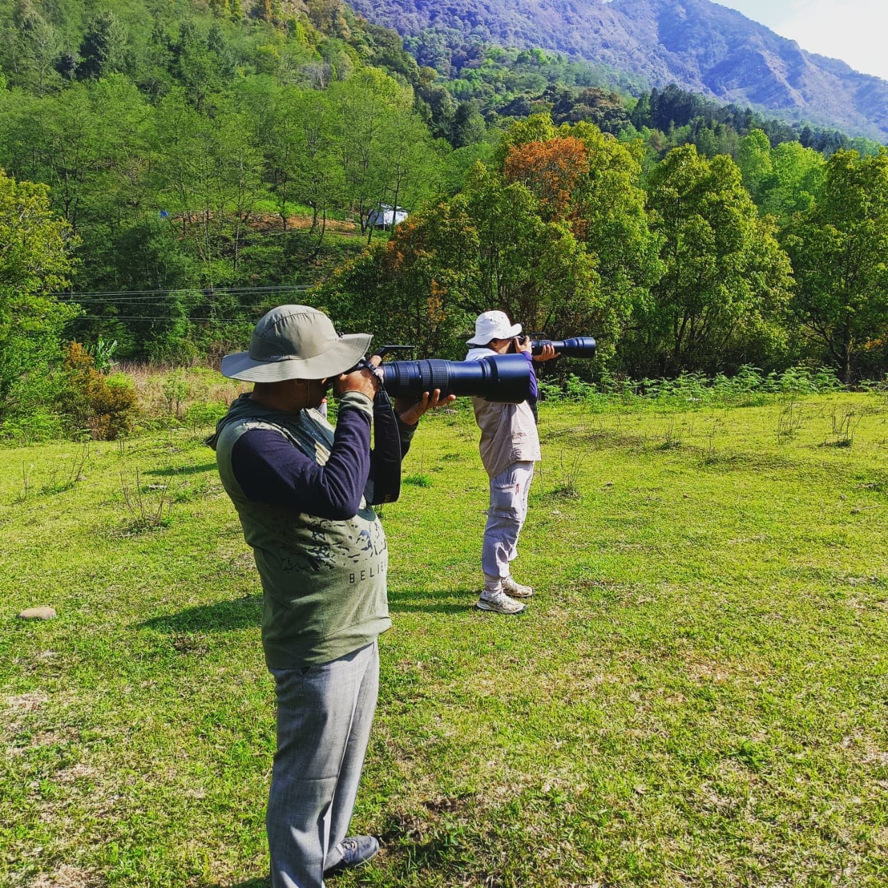Nagaland Bird Watching