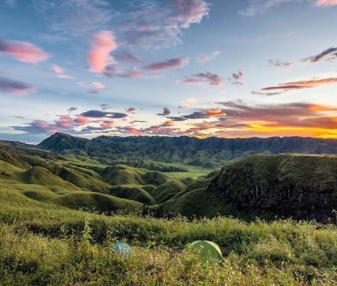 Rolling green Dzukou Valley beneath a pink evening sky
