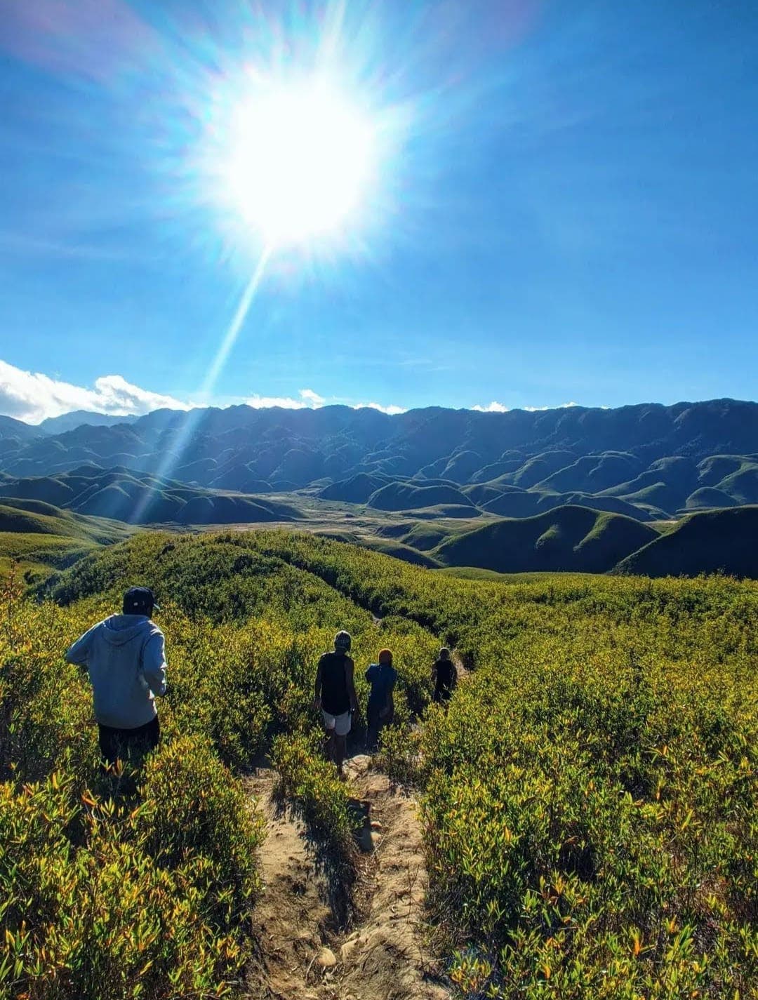 Walkers crossing the sunlit green slopes of Dzukou Valley