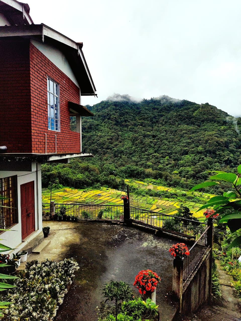 Ecotone homestay exterior surrounded by nature