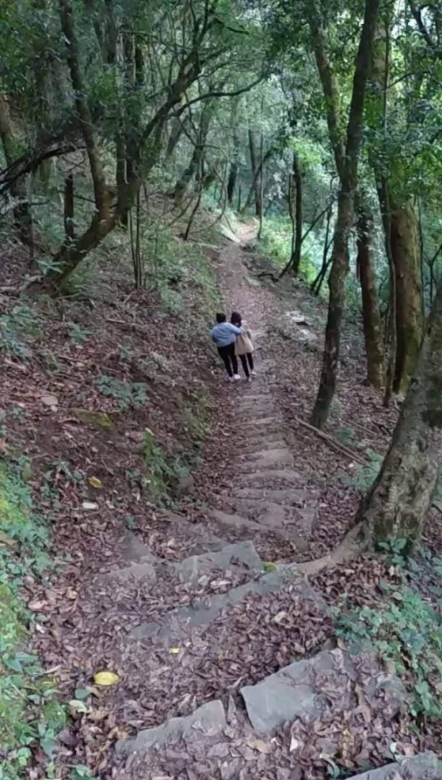 Nagaland Bird Watching